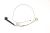 Cable Pantalla Lenovo - 5C10L35864